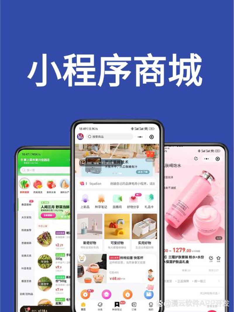 六安APP开发：解锁移动时代的无限可能